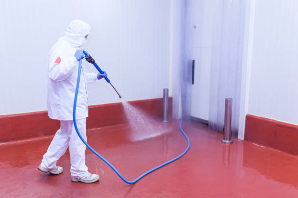Best Roof Washing  in Bluefield, WV
